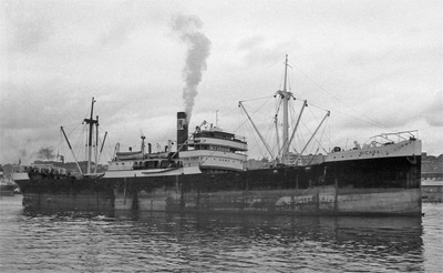 Bicaba by T. Diedrich